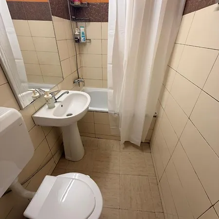 Stylish Escape Calea Victoriei Apartment