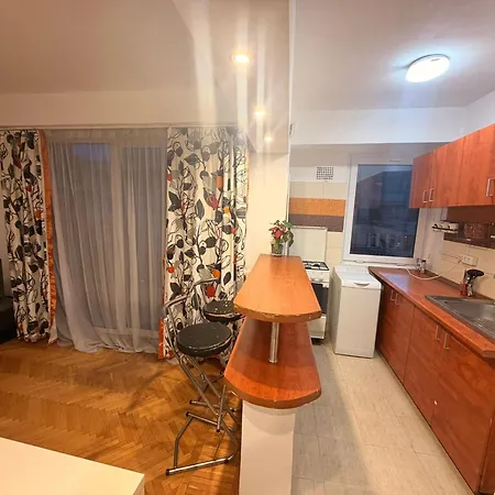 Stylish Escape Calea Victoriei Apartment *